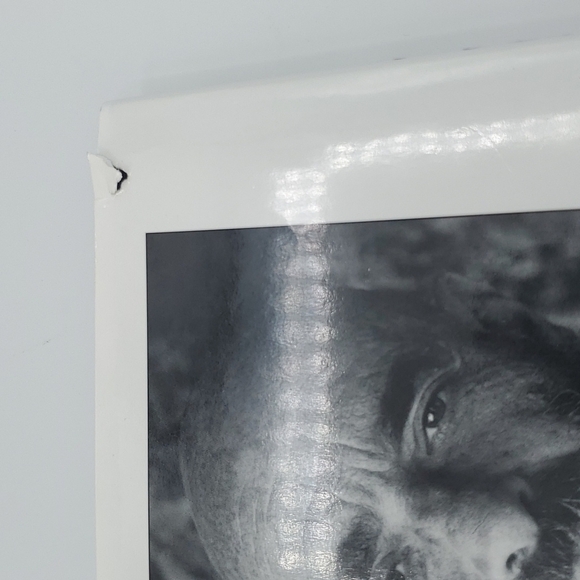 Shel silverstein runny rabbit returns hardcover book - Picture 4 of 5